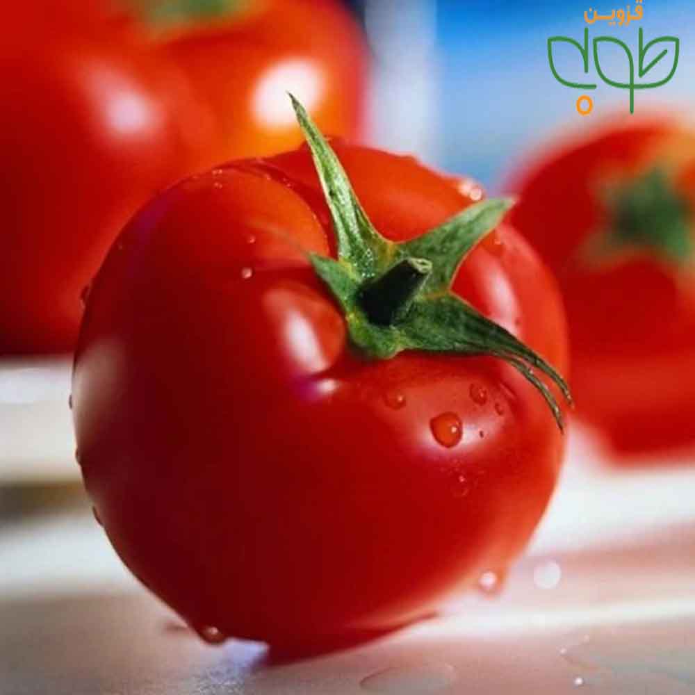 بذرگوجه 100گرمی هلندی