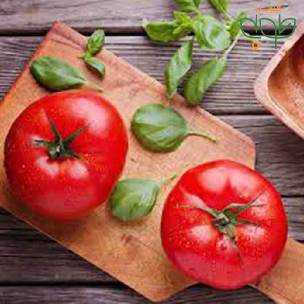 بذرگوجه500گرمی
